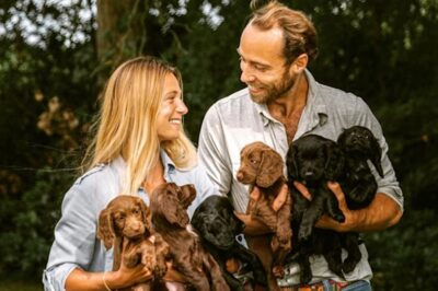 Royal joy turns into outrage! PETA slams the Prince and Princess of Wales after their dog gave birth—calling it “irresponsible” and “promoting breeding.” What was meant to be a happy moment now spirals into a PR disaster. Was this a royal misstep?
